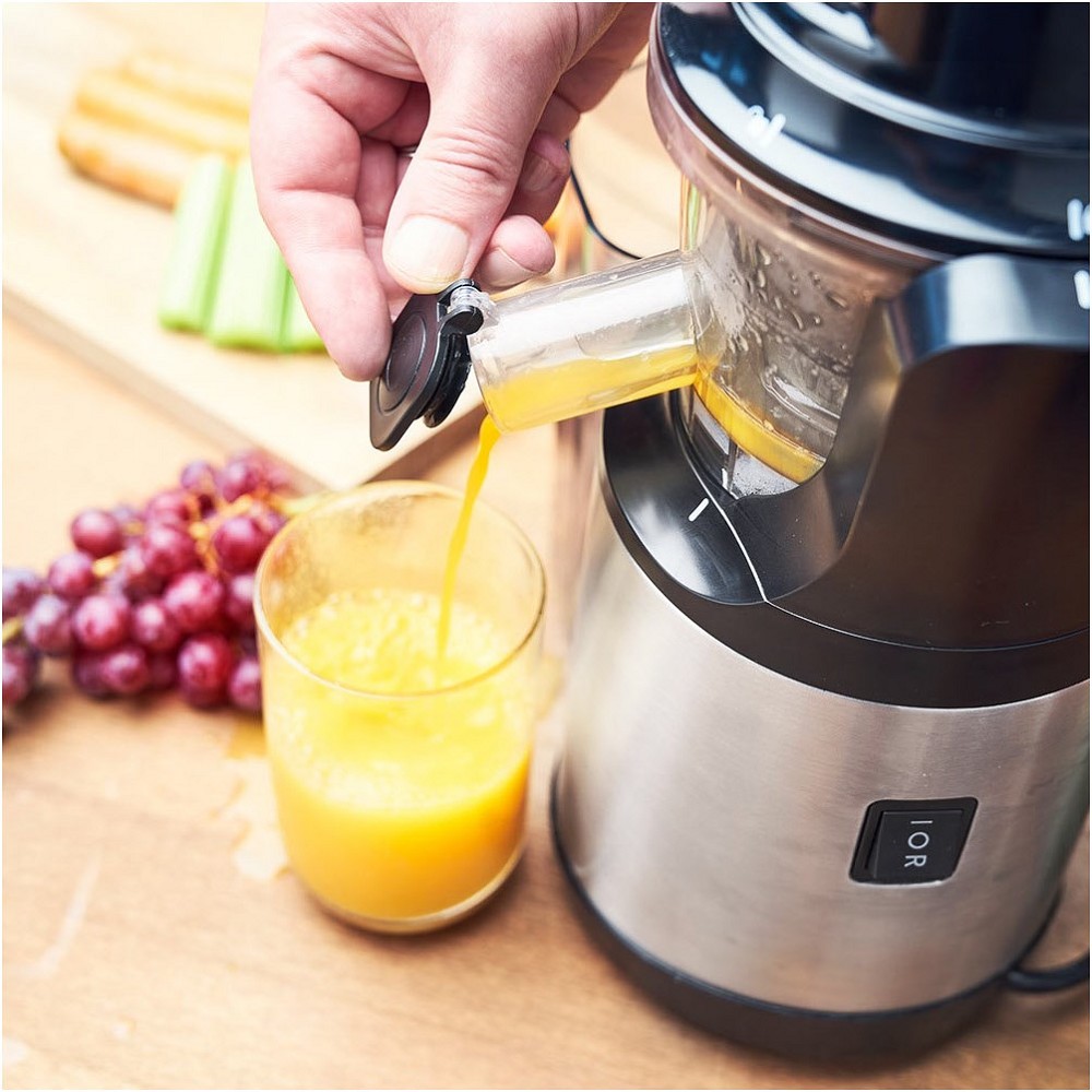 Gastroback 40145 Slow Juicer Advanced Vital Entsafter 150 Watt 70 U//min.